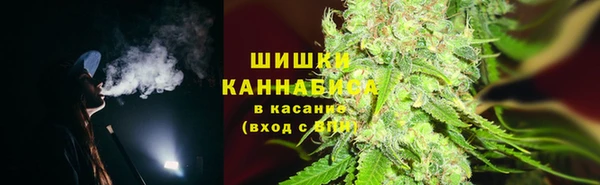 сатива Богородск