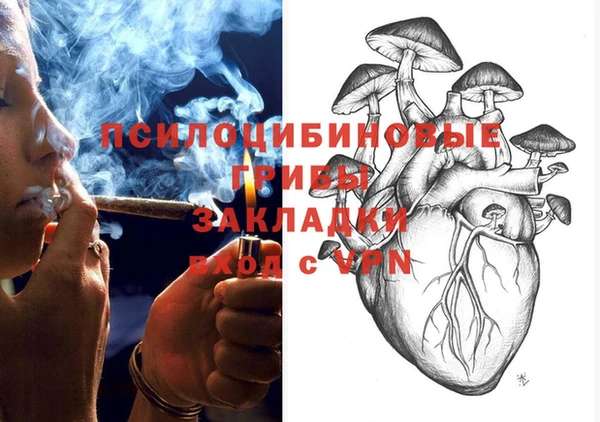 бошки Богданович
