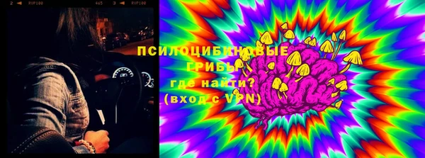 бутират Богородицк