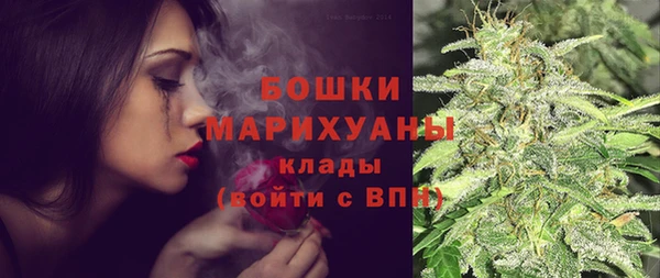 сатива Богородск
