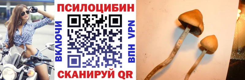 KRAKEN маркетплейс  Нижневартовск  Галлюциногенные грибы мицелий 